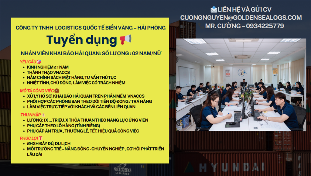 Công ty TNHH Logistics Quốc Tế Biển Vàng Tuyển Dụng - Liên Hệ Ngay Với Chúng Tôi