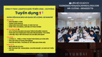 Công ty TNHH Logistics Quốc Tế Biển Vàng Tuyển Dụng - Liên Hệ Ngay Với Chúng Tôi